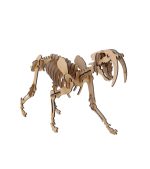 3d puzzle Saber Tooth