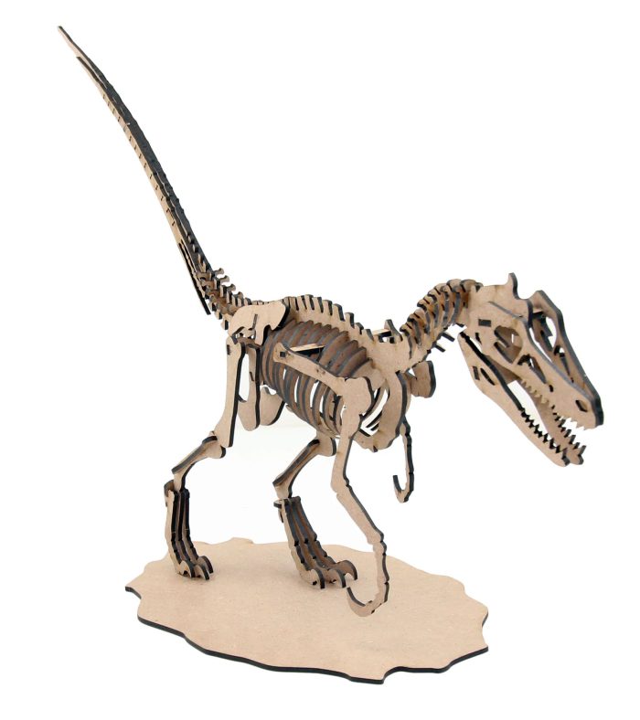 3d puzzle Velociraptor